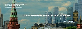 О некоторых практических аспектах оформления и использования единых электронных виз 